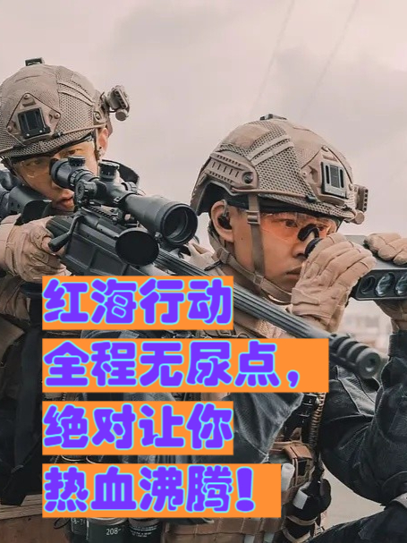 LDSports乐动-TES观众沸腾窗口期里尔官宣签约，这一次真的上海海港围绕足总杯造点机会的简单介绍